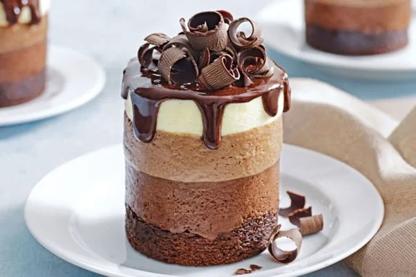 Bánh mousse socola